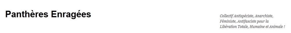 banner_pantheresenragées